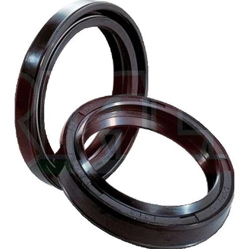 Paraolio per forcella fast ace - forcella,